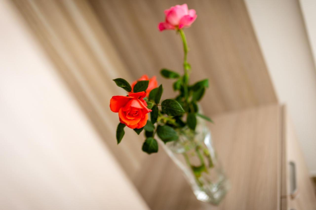 Le Calette Rooms - Puglia Mia Apartments Monopoli Exteriör bild
